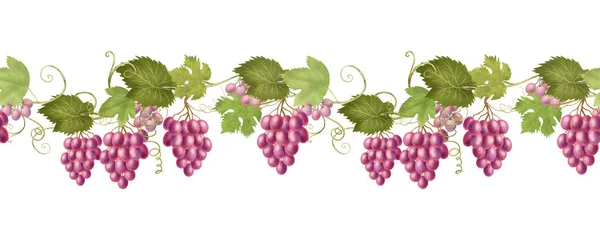 Seamless Border Pink Grape Vines Hand Drawn Illustration White Background — Φωτογραφία Αρχείου