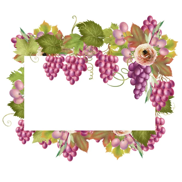 Rama Owoców Różowych Fioletowych Winogron Liści Ręcznie Rysowane Pojedyncze Ilustracja — Zdjęcie stockowe