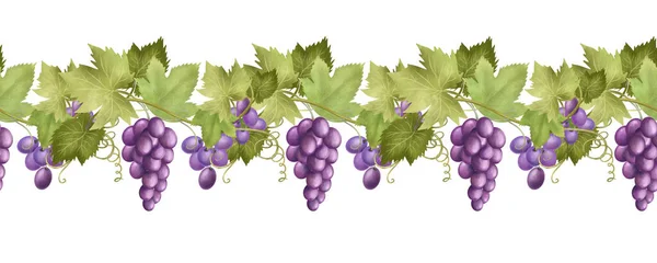 Seamless Border Purple Grape Vines Hand Drawn Illustration White Background — Stok fotoğraf