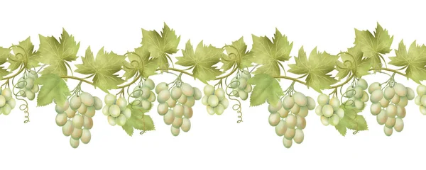 Seamless Border Green Grape Vines Hand Drawn Illustration White Background — ストック写真