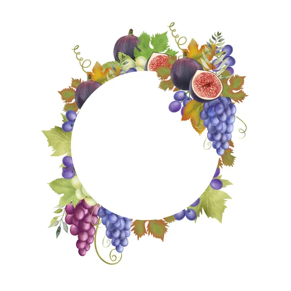 秋天水果圆形框架蓝色和紫色的葡萄 叶子和无花果 手工画出白色背景的孤立图解 — 图库照片