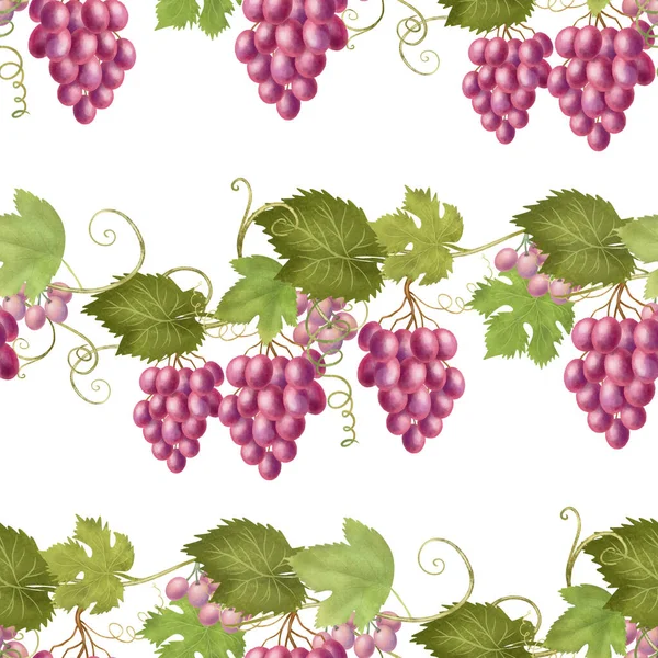 Seamless Pattern Pink Grape Vines Hand Drawn Illustration White Background — ストック写真