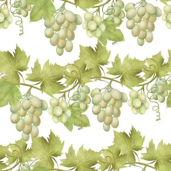 Seamless Pattern Green Grape Vines Hand Drawn Illustration White Background — ストック写真