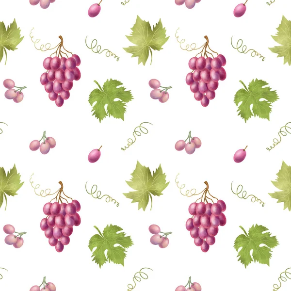 Seamless Pattern Pink Grapes Leaves Hand Drawn Illustration White Background — ストック写真