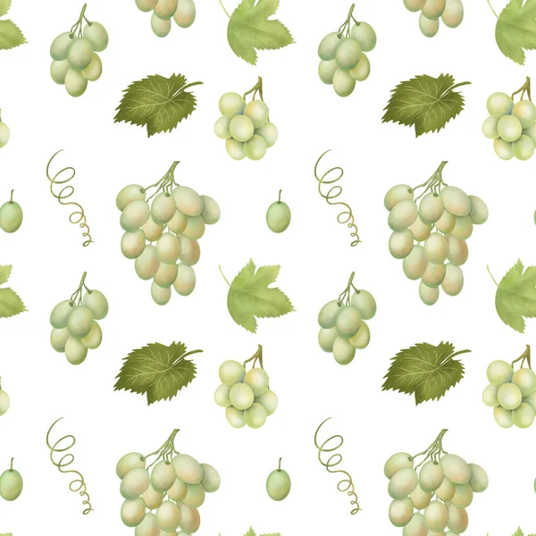 Seamless Pattern Green Grapes Leaves Hand Drawn Illustration White Background — Fotografia de Stock