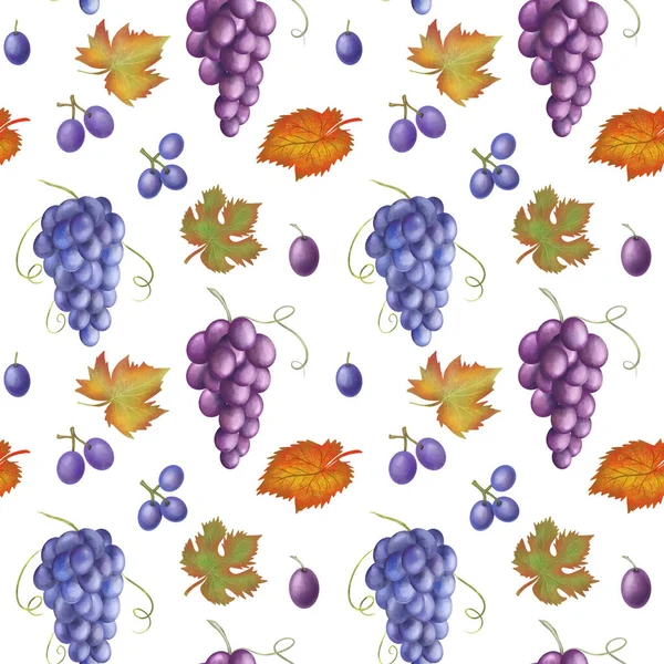 Patrón Sin Costura Uvas Hojas Azules Púrpuras Ilustración Dibujada Mano — Foto de Stock