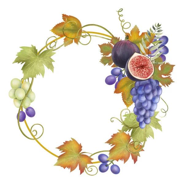 Corona Frutas Otoño Uvas Azules Verdes Hojas Higos Ilustración Aislada — Foto de Stock