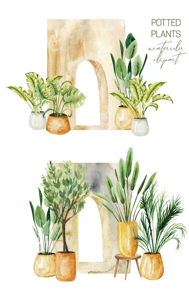 拱门附近有绿色盆栽植物的室内场景 家庭植物收藏 白色背景的手绘插图 — 图库照片