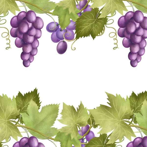 Card Template Purple Grapes Hand Drawn Illustration White Background — Stock Photo, Image