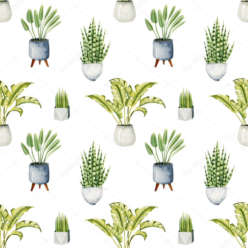 Seamless pattern of watercolor potted plants, home plants in black and white pots, hand drawn illustration on white background