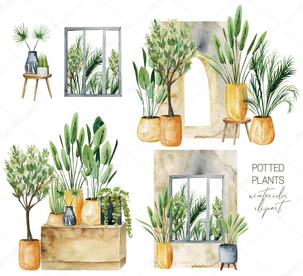 Interior scenes with green potted plants, home plants collection, hand drawn illustration on white background