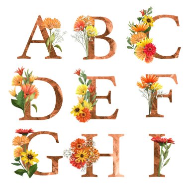 Çiçekli A-I harfleri, sonbahar çiçekleri (aster ve gerber papatyaları), beyaz arka planda izole edilmiş illüstrasyon, düğün monogramı, tebrik kartları, logo