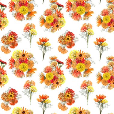 Güz yıldızlarının ve Gerbera çiçeklerinin kusursuz desenleri beyaz arka planda resmediliyor.