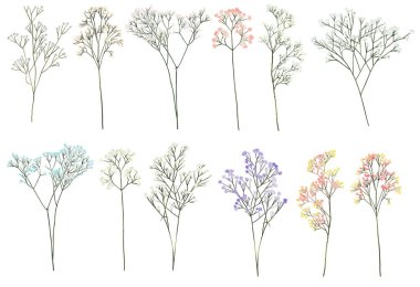 El çizimi Gypthe dalları, beyaz arkaplanda izole çizimler.