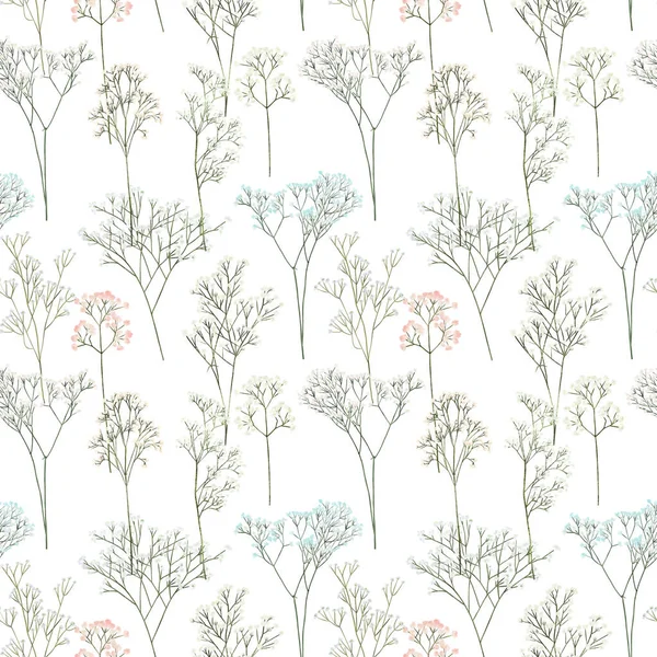 Seamless Pattern Gypsophila Branches Illustration White Background — Stock Photo, Image