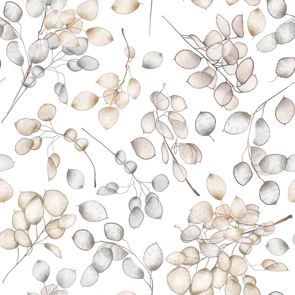 Безшовний Візерунок Гілок Lunaria Rediviva Ізольована Ілюстрація Рук Білому Тлі — стокове фото