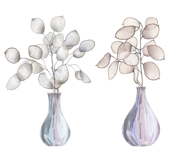 Lunaria Rediviva Branches Vases Isolated Hand Drawn Illustration White Background — Stock Photo, Image