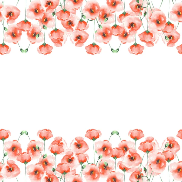 Template postcard with poppies on a white background