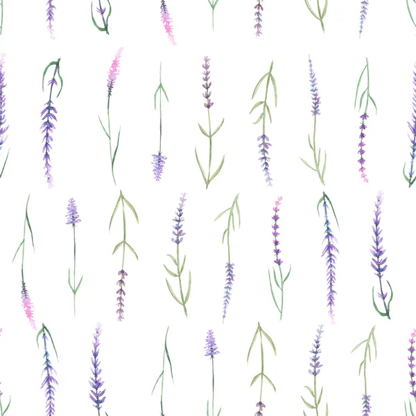 Muster mit Lavendel — Stockfoto