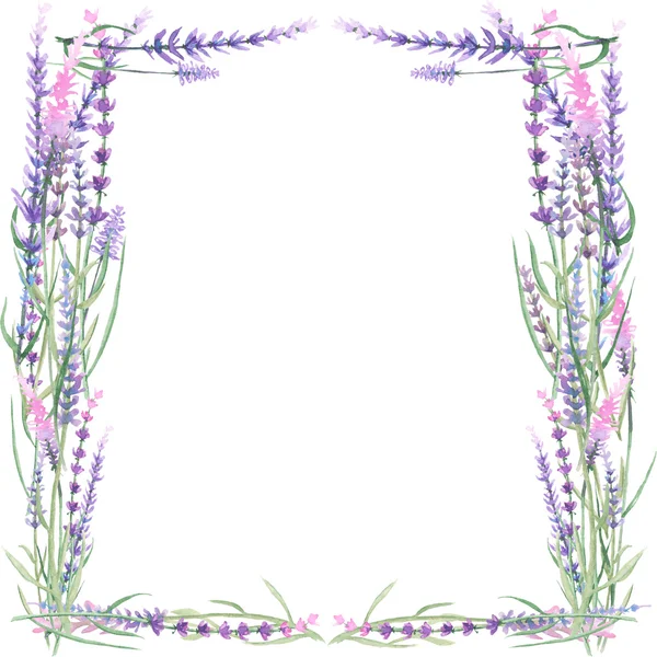 Frame met lavendel — Stockfoto