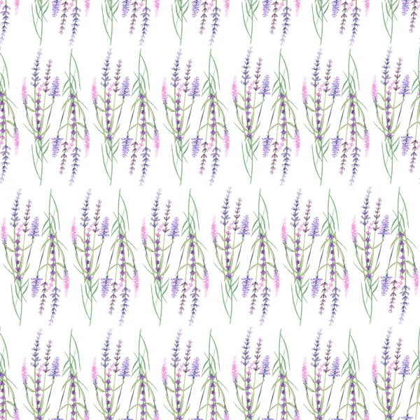Muster mit Lavendel — Stockfoto