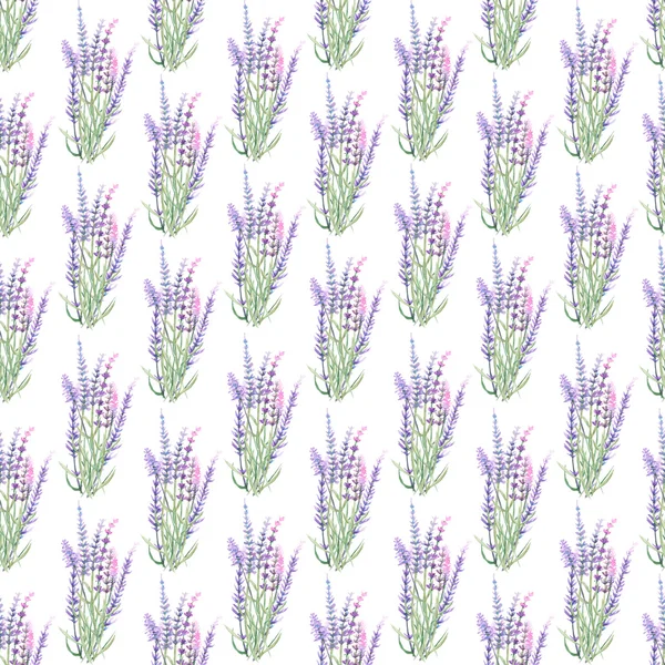 Patroon met lavendel — Stockfoto