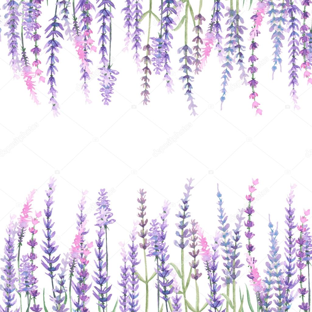 Frame with lavender