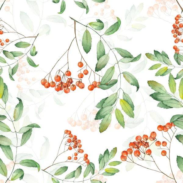 Pattern of rowan — Stock Photo, Image