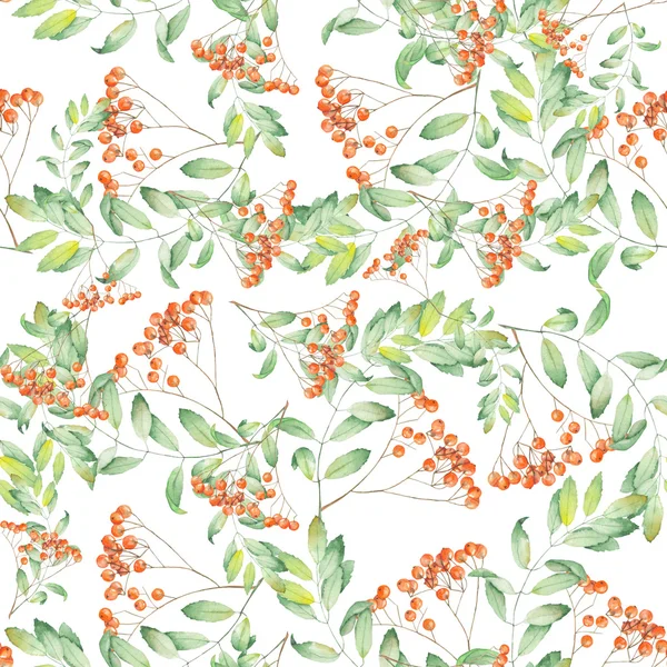 Pattern of rowan — Stock Photo, Image