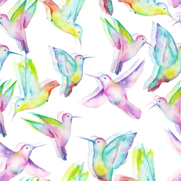 Seamless pattern of watercolor colibri — Stock Photo, Image