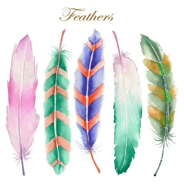 A set of  the watercolor feathers — Stockfoto