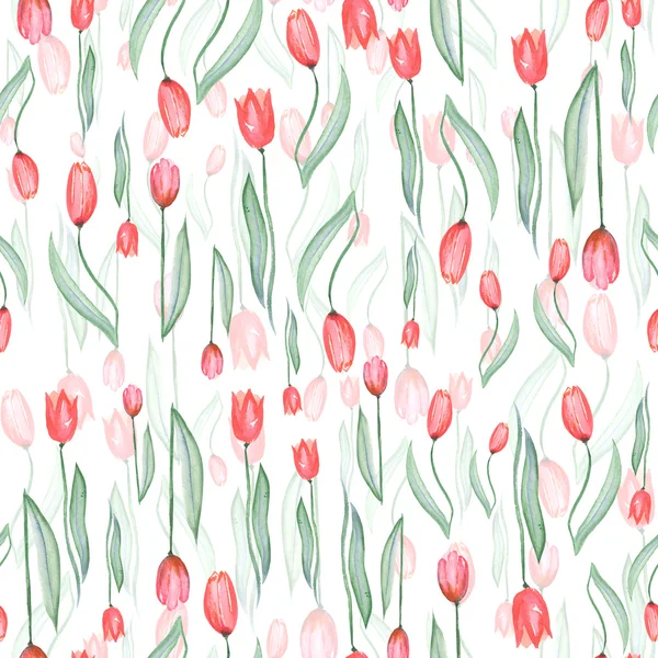 Безшовний візерунок червоних тюльпанів — стокове фото