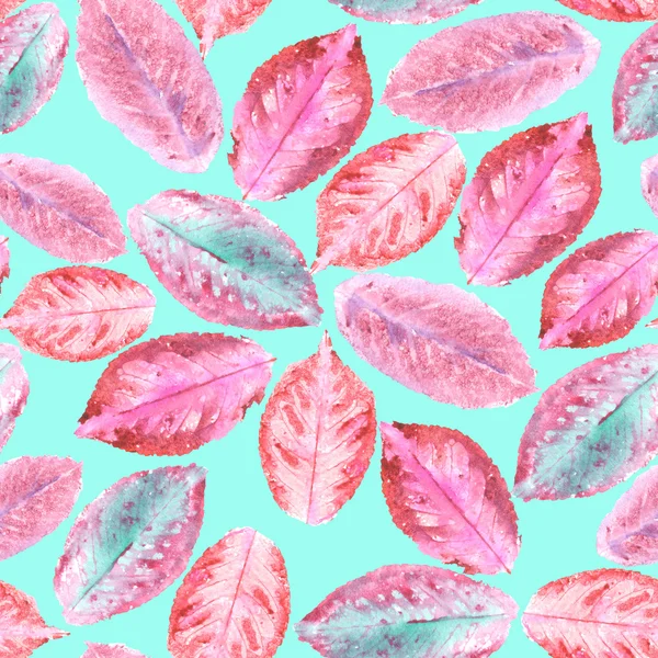 패턴 수채화 보라색가 단풍 — 스톡 사진