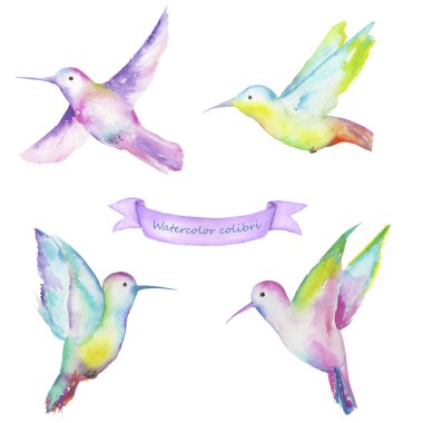 suluboya colibri