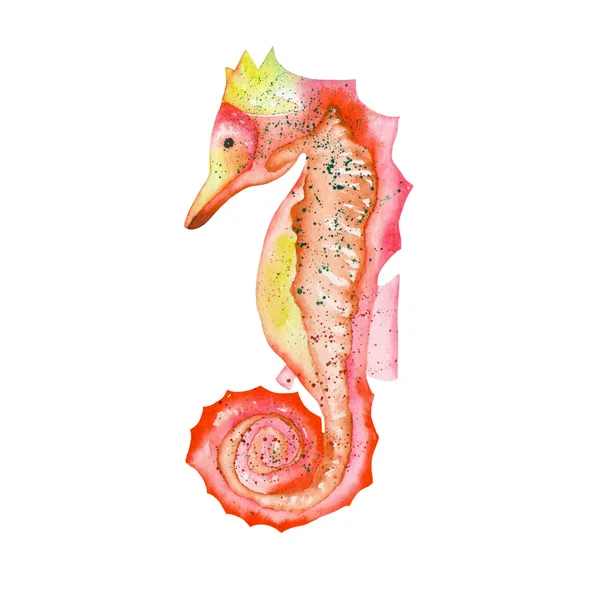 빨간색 (주황색) 해 마의 수채화 그림 — 스톡 사진