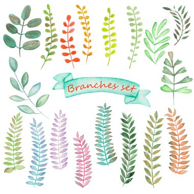 Watercolor set of floral elements and  leaves