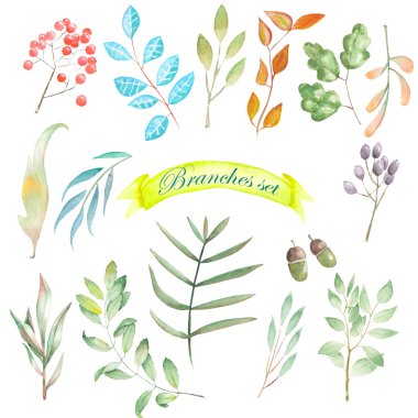 Watercolor set of floral elements, branches and leaves