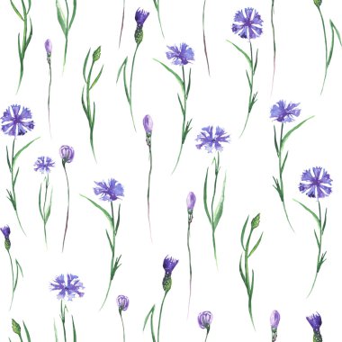 Pattern with cornflowers clipart