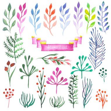 Watercolor set of abstract floral elements