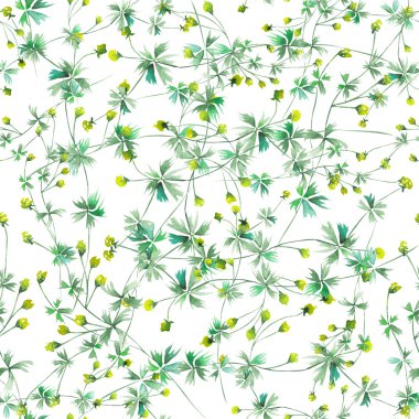 Seamless floral pattern with yellow wildflowers