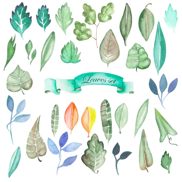 Ensemble aquarelle d'éléments floraux et feuilles vertes — Photo
