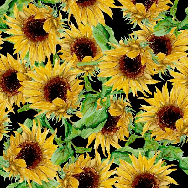 Pattern with yellow sunflowers painted in watercolor on a black background — Stock Photo, Image