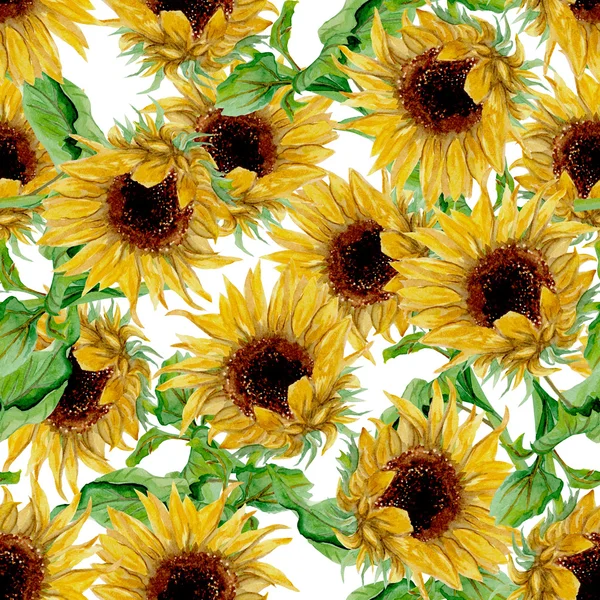 Muster mit gelben Sonnenblumen in Aquarell auf weißem Hintergrund — Stockfoto