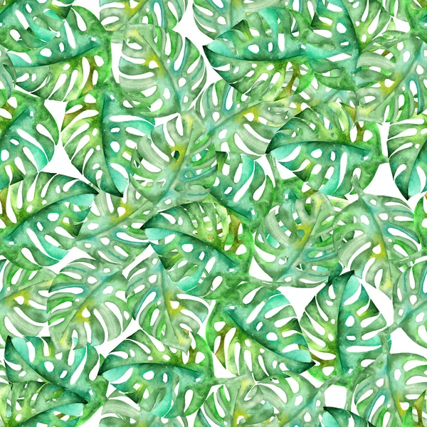 Seamless pattern with monstera leaves painted in watercolor on a white background