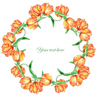 A wreath (frame) of the red and yellow tulips painted in watercolor