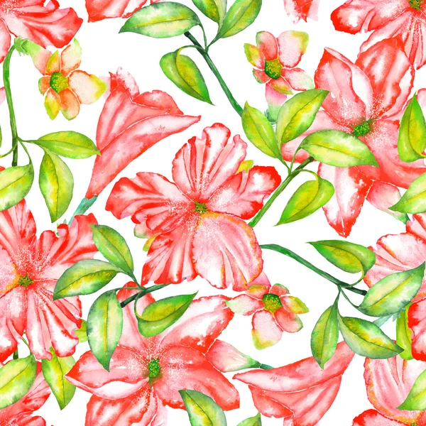 A seamless pattern with the watercolor red exotic flowers, hibiscus — 스톡 사진
