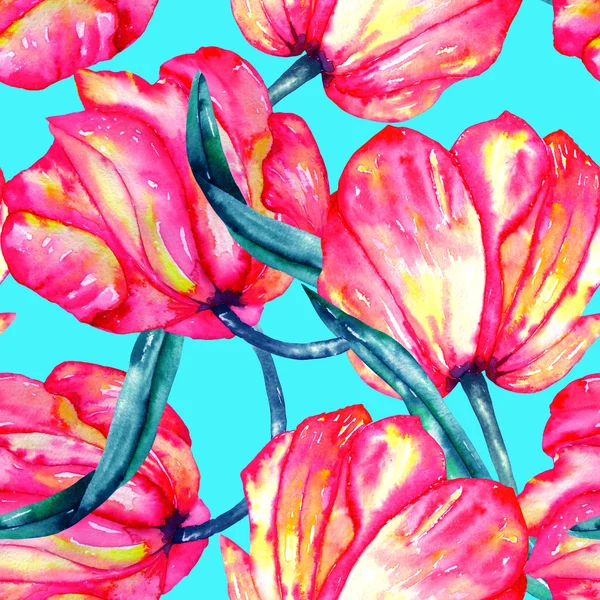 A varrat nélküli mintát az akvarell bíbor és skarlát tulipán — Stock Fotó