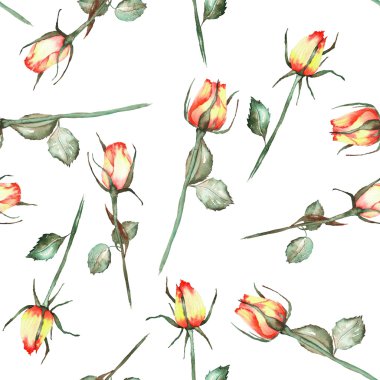 A seamless pattern with the watercolor beautiful red and yellow roses on a white background
