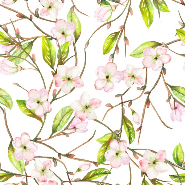 A seamless floral pattern with an ornament of an apple tree branch with the tender pink blooming flowers and green leaves, painted in a watercolor — 스톡 사진