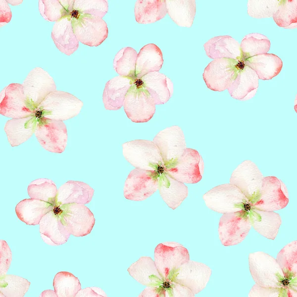 A seamless floral pattern with the tender pink apple tree blooming flowers, painted in a watercolor — ストック写真